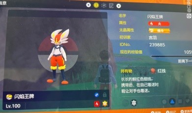 《宝可梦朱紫》闪焰王牌简单打法教学