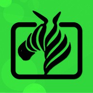 金风直播app免费下载