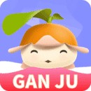 t1024抖音标志带个套安装包