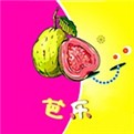 爱情岛论坛免费线路版软件下载大全