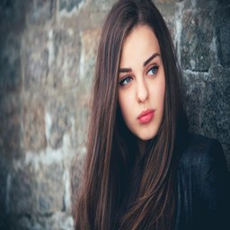丝瓜、芭乐、猫咪、草莓与小猪的奇妙世界：自然与萌宠的完美结合