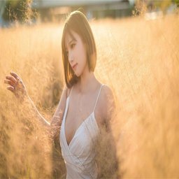JAPONENSISJAVAHDTV365：新兴技术的应用与未来前景