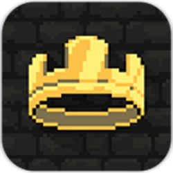王国新大陆联机版下载-王国新大陆联机版双人版免费版v1.3.5.3