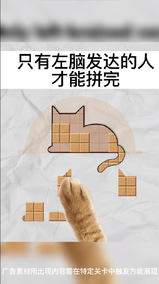 今晚来拼板1