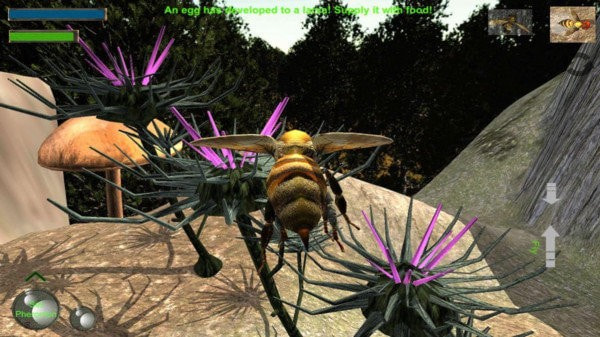 蜂巢模拟器3d(Bee Nest Simulation 3D)1