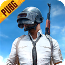 pubg国际版官方版手游下载-pubg地铁逃生下载官方正版v2.9.0